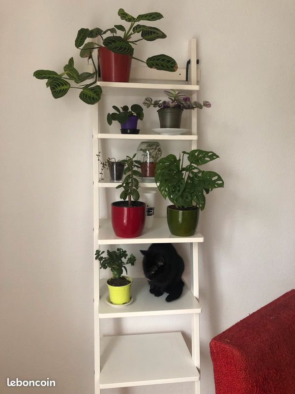 Etagere blanche leds (image 1)