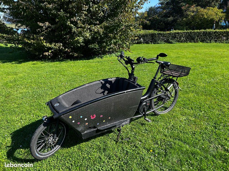 Vélo cargo Urban Arrow Family (image 1)