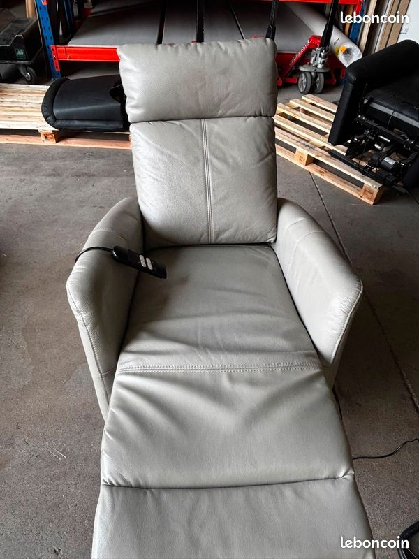 Fauteuil releveur électrique (image 1)