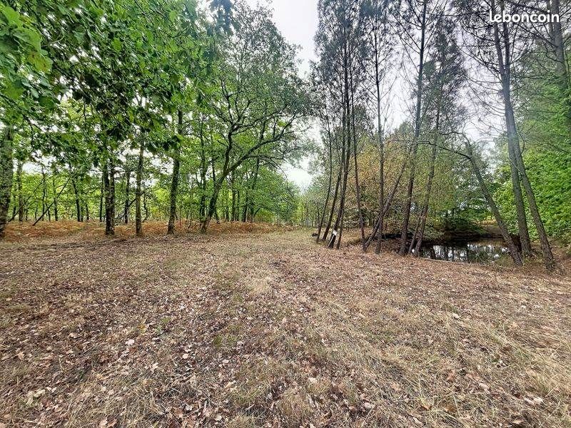 Terrain 182792 m² · à Laruscade · 155 875 €