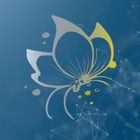 PHENIX SERVICES