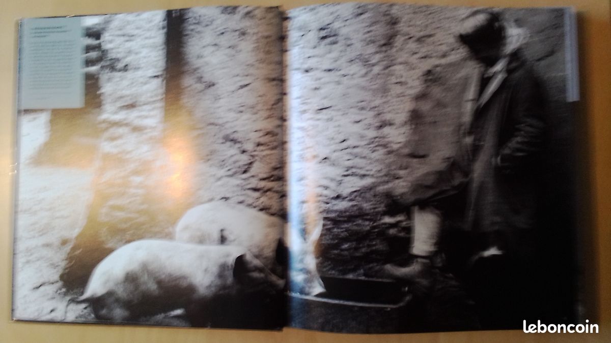 Livre sur la France d'autrefois (image 8)