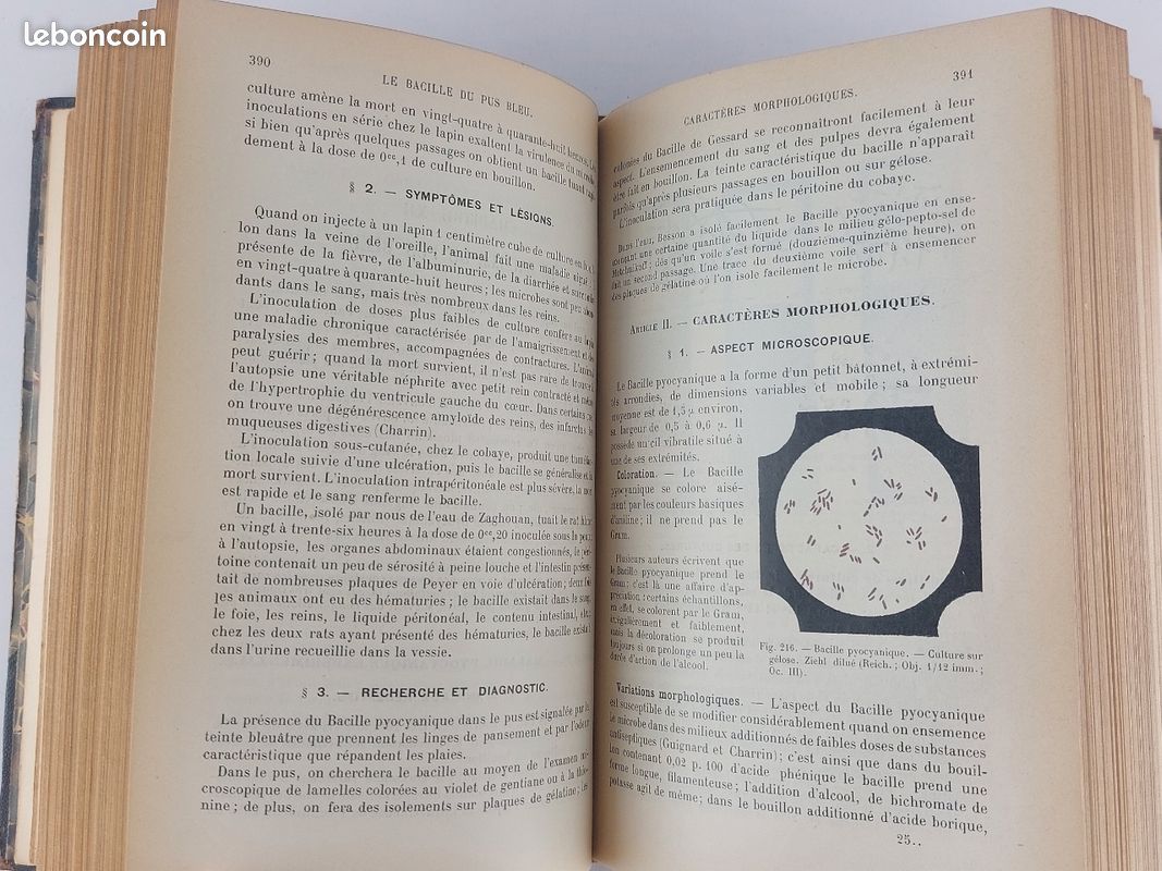 Technique microbiologique et sérothérapique. 1908 (image 6)