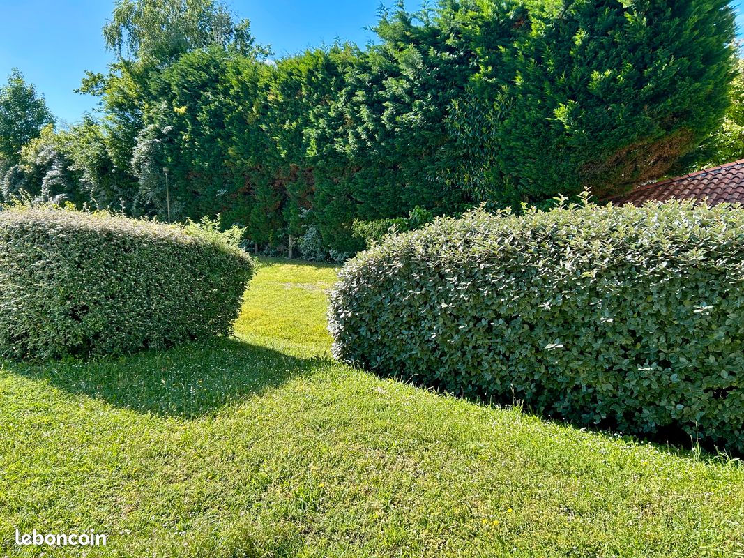 Appartement 3 pièces 54 m² · à Anglet · 54 m² · 335 000 €