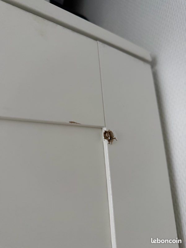 Armoire IKEA Brimnes 3 portes (image 5)