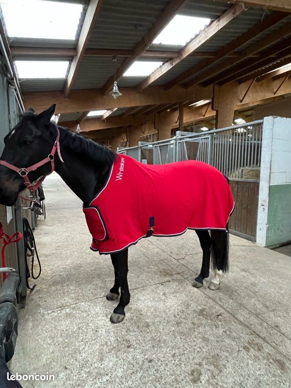 Couverture Polaire Pour Cheval HorseGuard - Rouge - 145 Cm