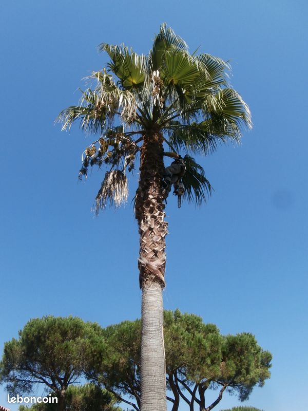 Vacances à Roquebrune les Issambres Ste Maxime (image 9)