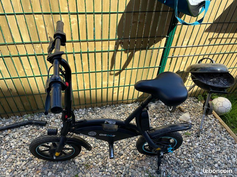 Draisienne gyroor (image 1)