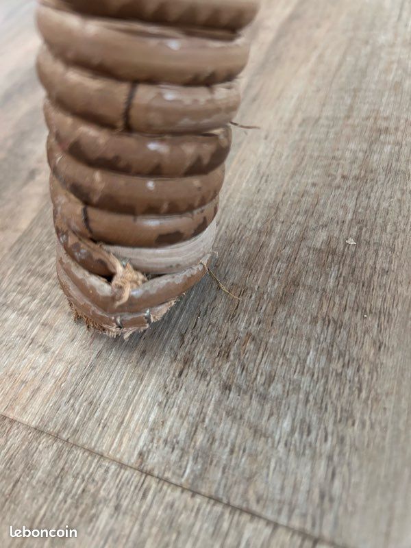 Cocooning Fauteuil en rotin (image 7)