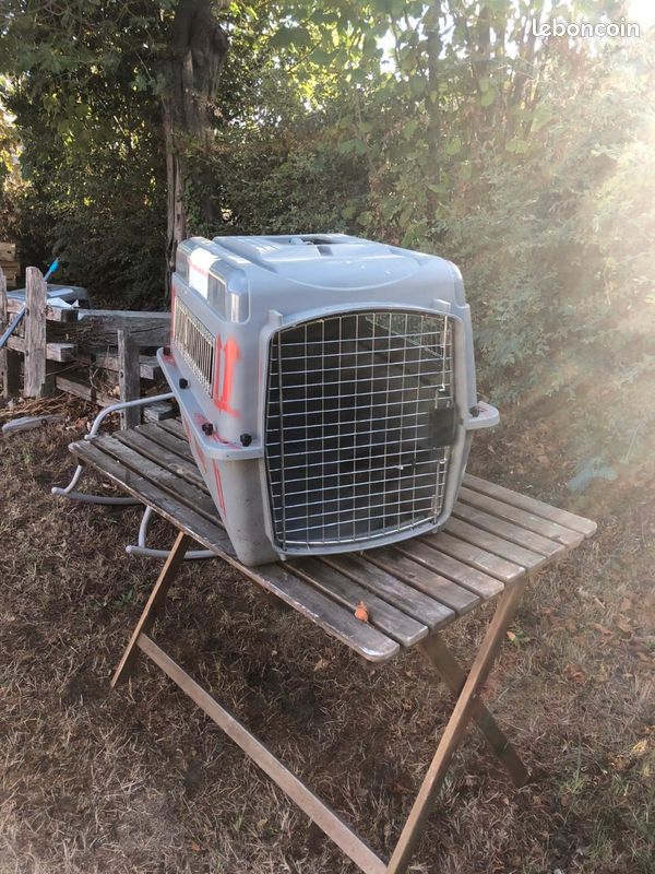 Caisse transport animaux IATA taille m chien ou chat (image 2)