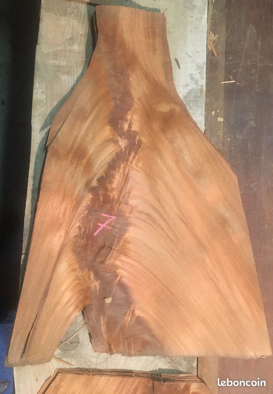 Anciennes feuilles de ronce d'acajou (image 1)