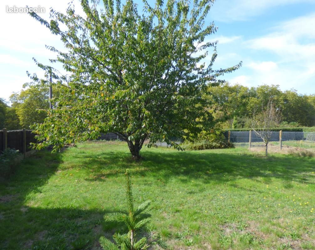 Terrain 446 m² Redon · 50 000 €