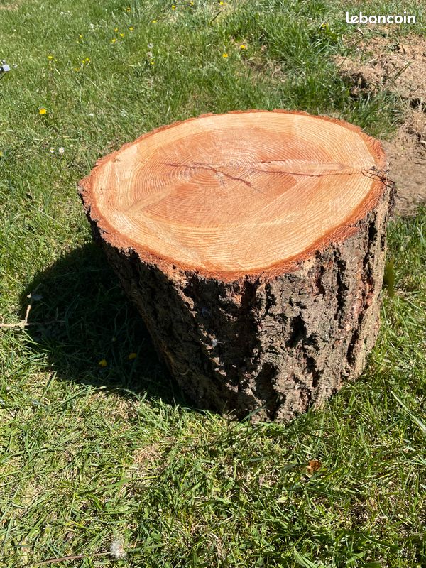 Rondin de bois en deco (image 1)