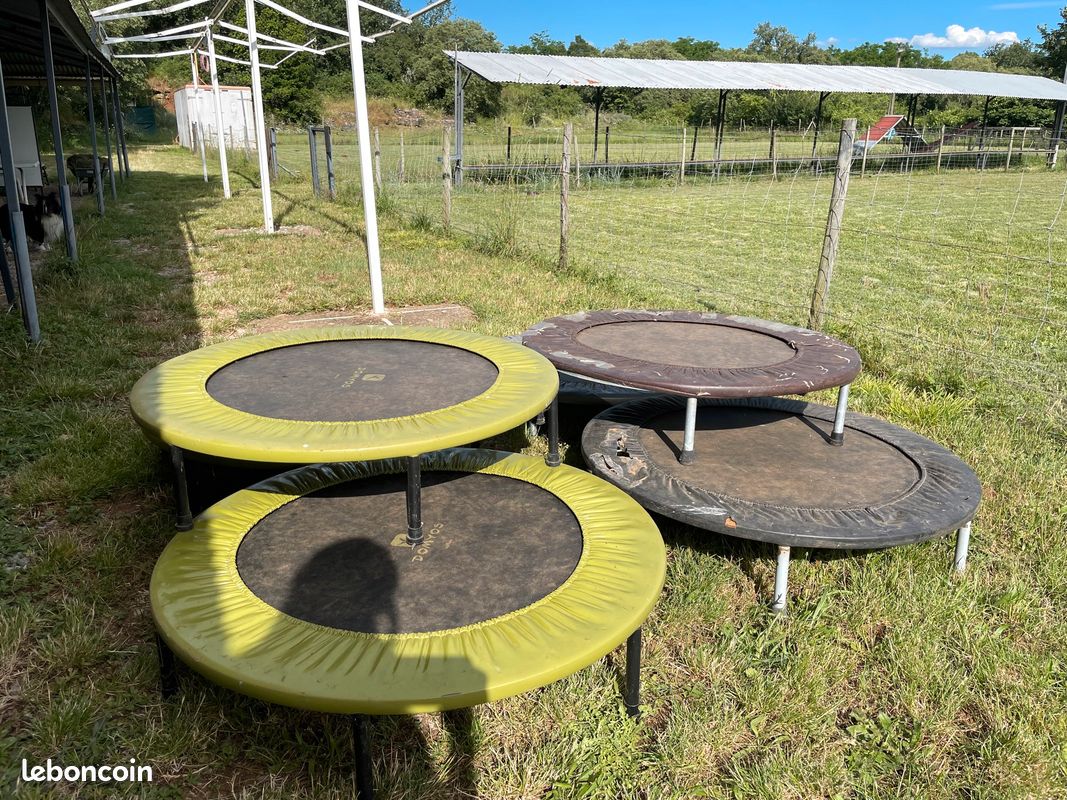 Trampoline le lot (image 2)