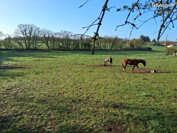 Propriété 4 pièces 146 m²