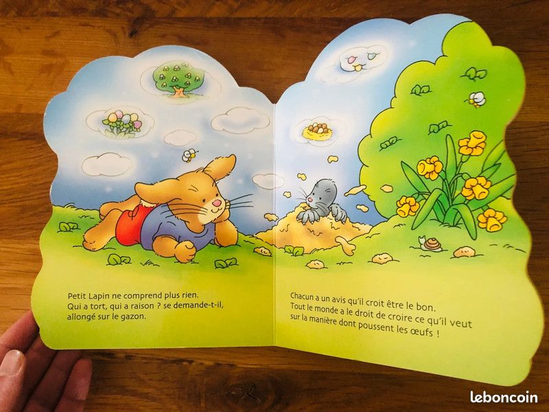 Lot livres enfants (image 7)