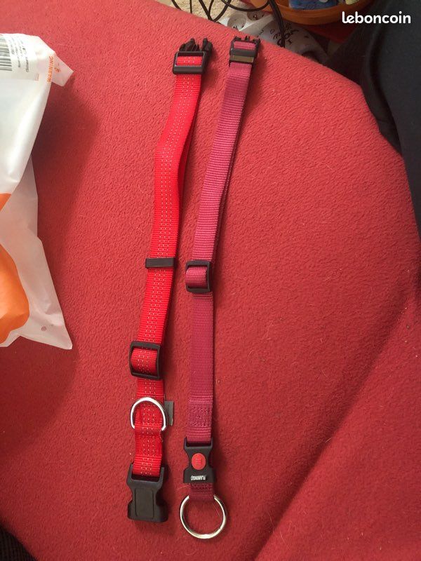 Collier pour chien taille M (image 2)