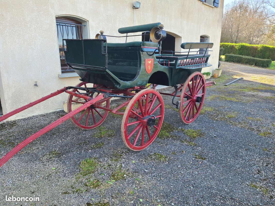 Calèche type break 4 roues (image 6)