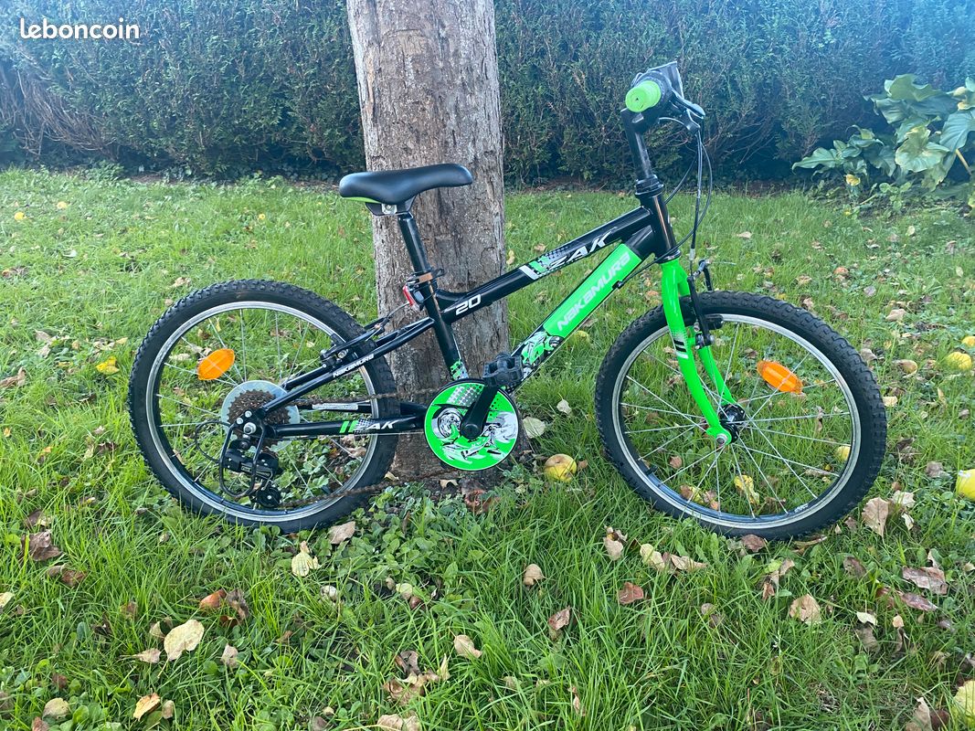 VTT garçon Zak Evo 7/10 ans (image 1)