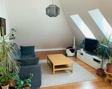 Appartement 52m2 - Centre Ville