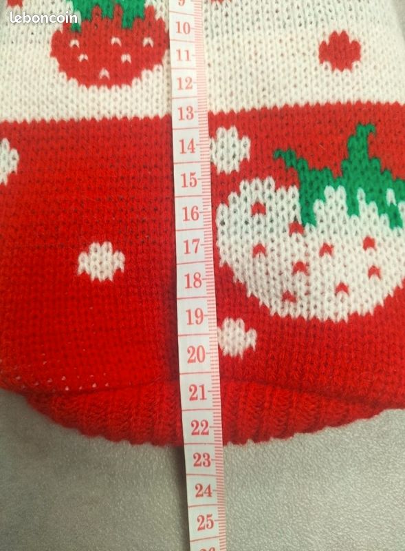 Pull Rigolo pour Petit Chien : Motif Fraises