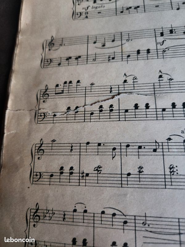 JOHANN STRAUSS Éditions Salabert Paris (image 9)