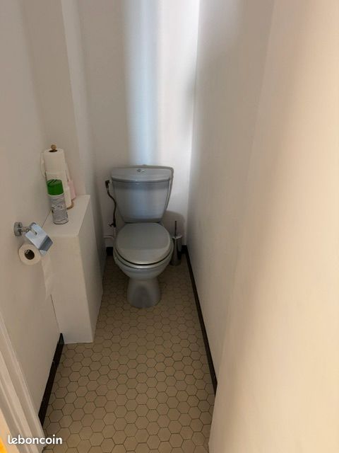 Colocation appartement Bron (image 9)