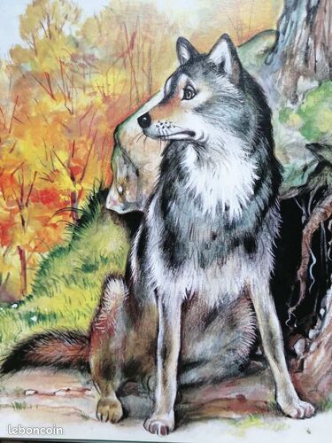 [Livre] Loup si gentil - Bon état (image 3)
