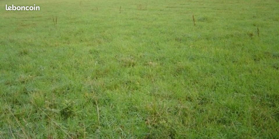 Terrain 459 m² Villers En Ouche · à La Ferté-en-Ouche · 16 600 €
