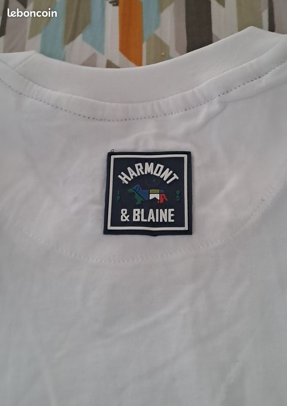 Sweat-shirts HARMONT & BLAINE Garçon 3-8 ans