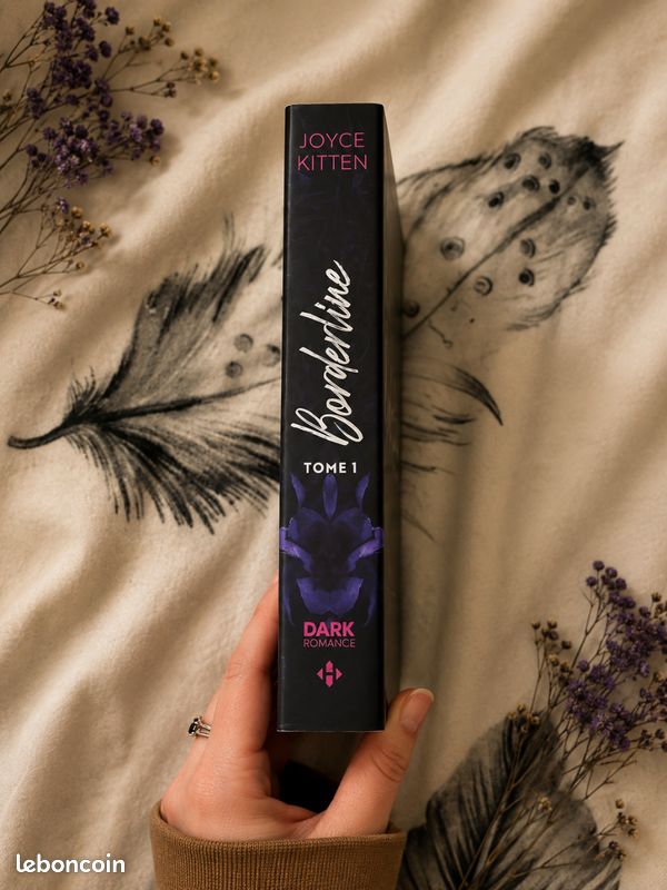 Livre dark romance (image 3)