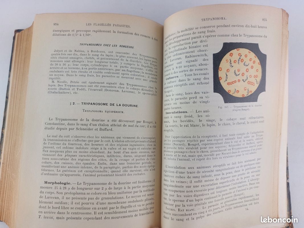 Technique microbiologique et sérothérapique. 1908 (image 8)