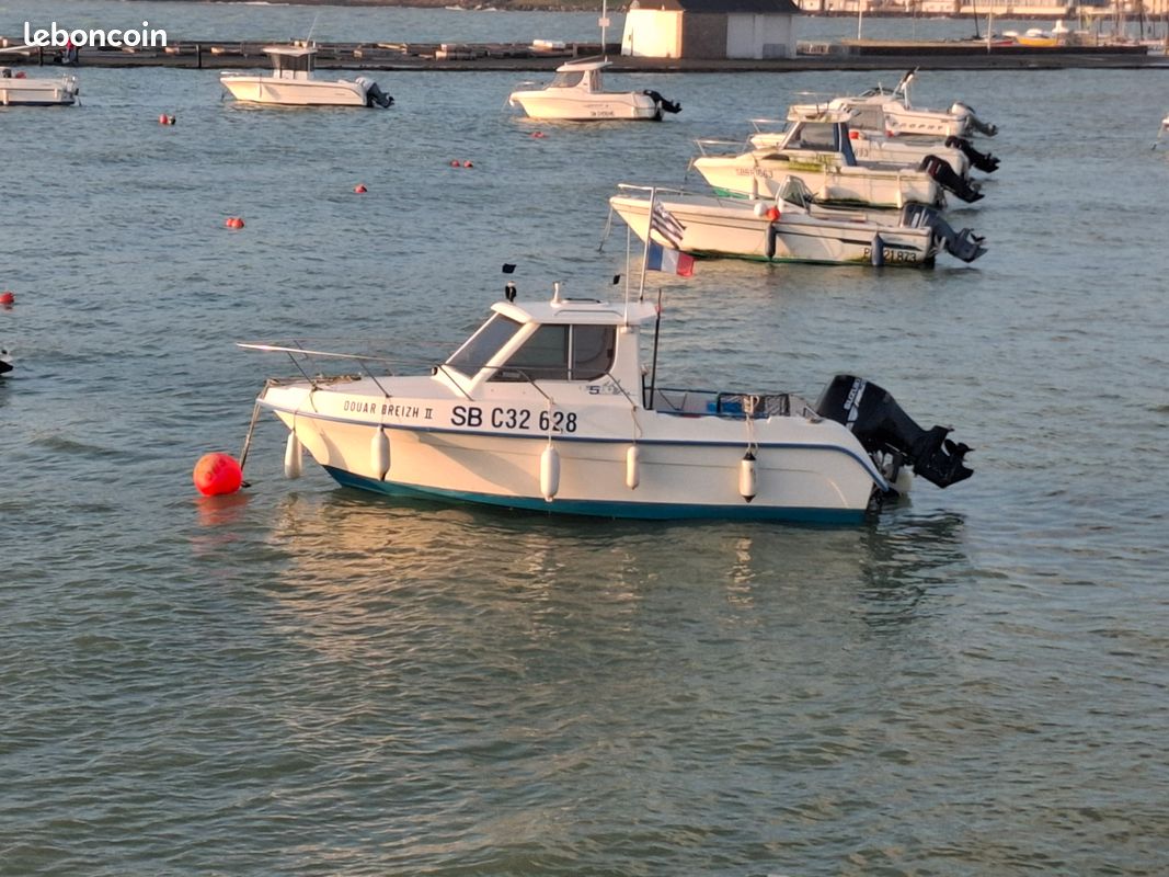 Vends bateau pêche promenade (image 1)