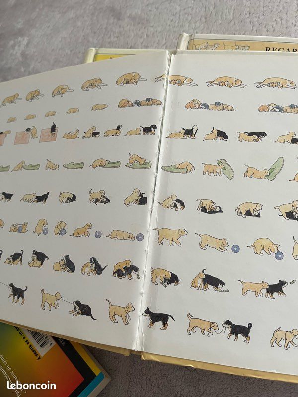 Lot livres animaux hachette jeunesse (image 8)
