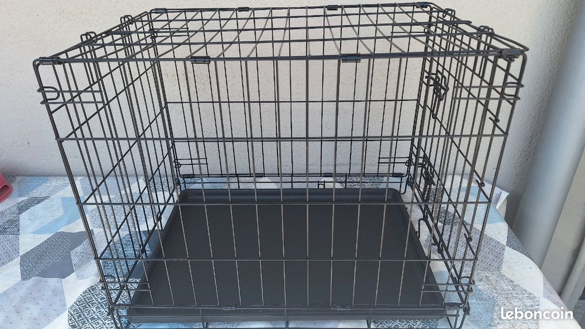 Cage chien (image 2)