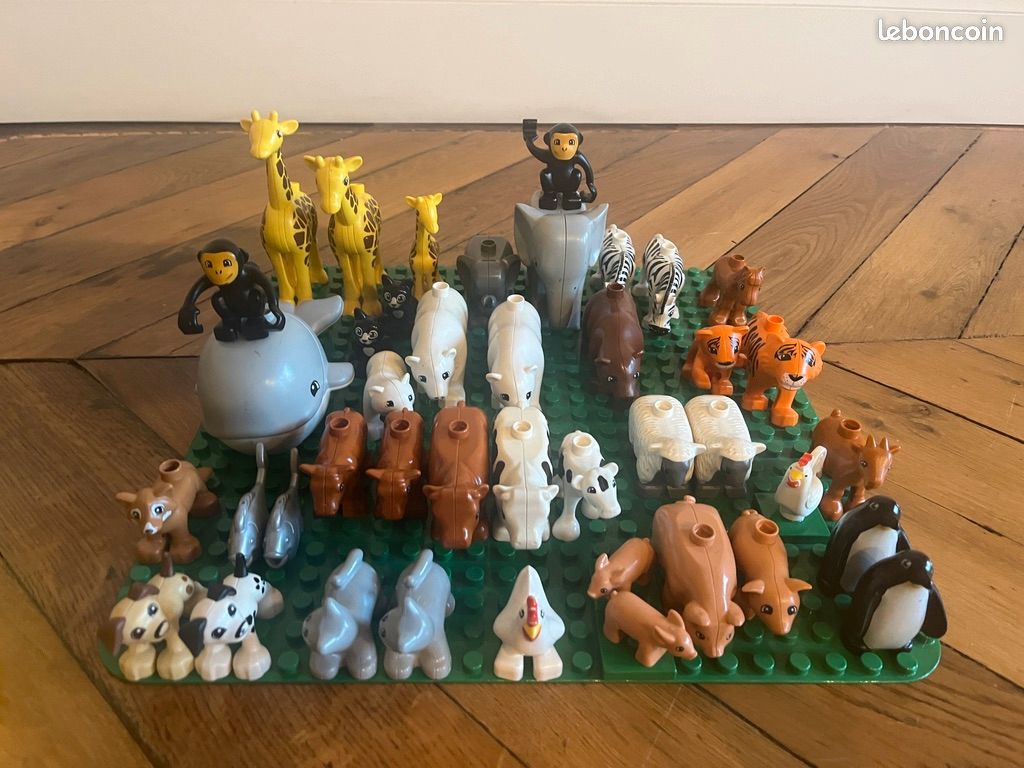 LE lot de duplo dont les enfants rêvent (image 2)