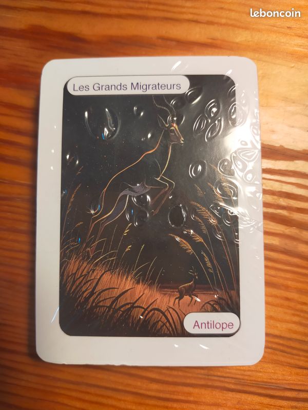 Jeu de cartes 7 familles animaux terrestres (image 1)