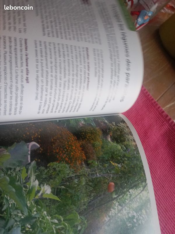 Le jardin bio pour les débutants (image 13)
