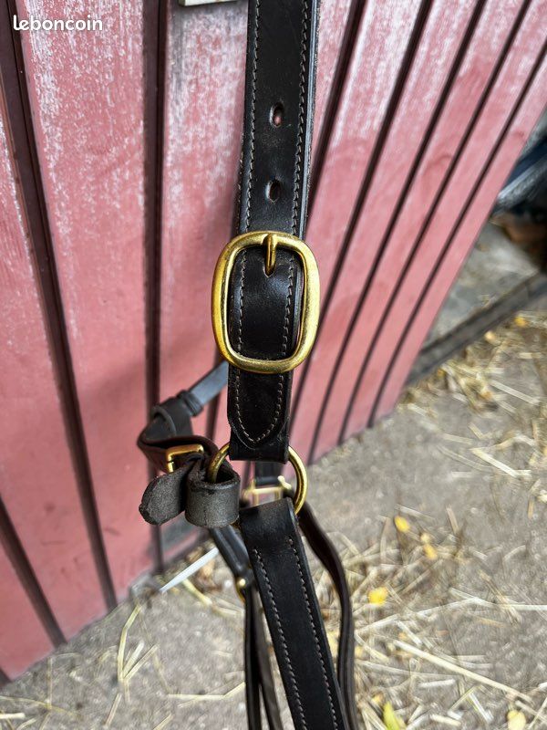 Licol cheval de trait (image 1)