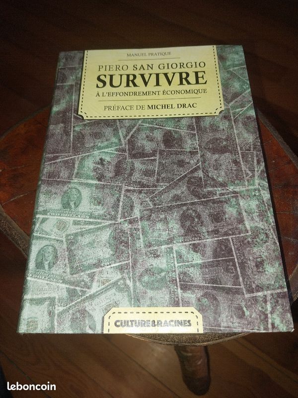 Survivre à l'effondrement économique (image 1)