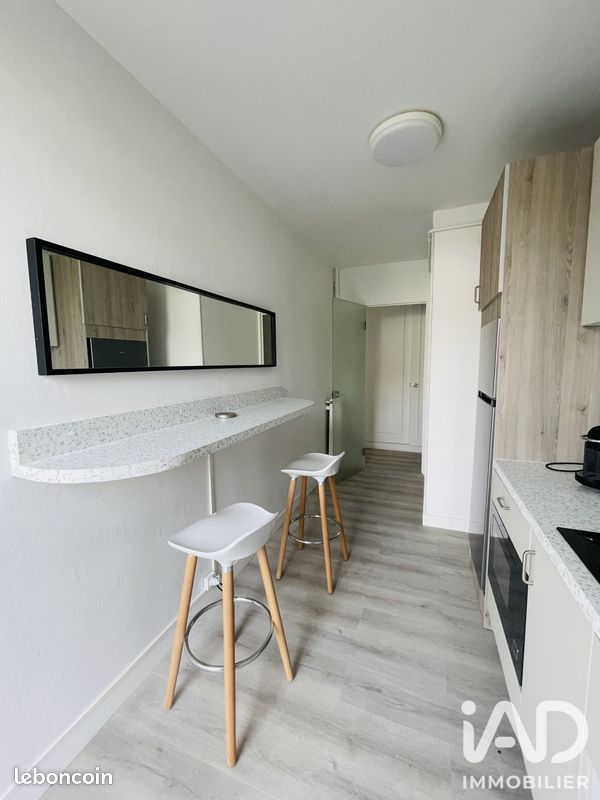 Appartement 1 pièce 44 m² (image 4)