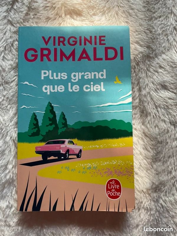 📚 Plus grand que le ciel – Virginie Grimaldi (image 1)