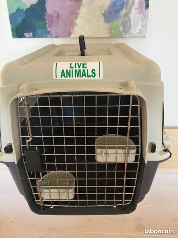 Cage caisse transport chien 67x50x50 (image 1)