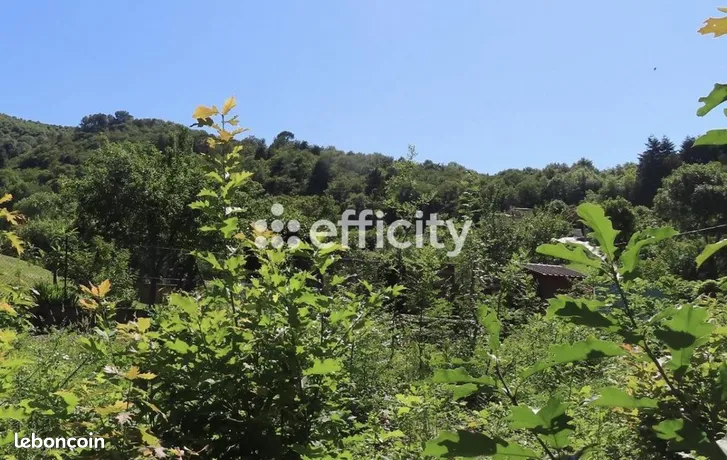 Annonce vente Terrain mazamet