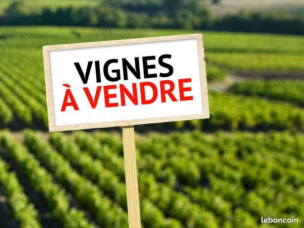 Terrain 47 000 m² Banyuls Sur Mer