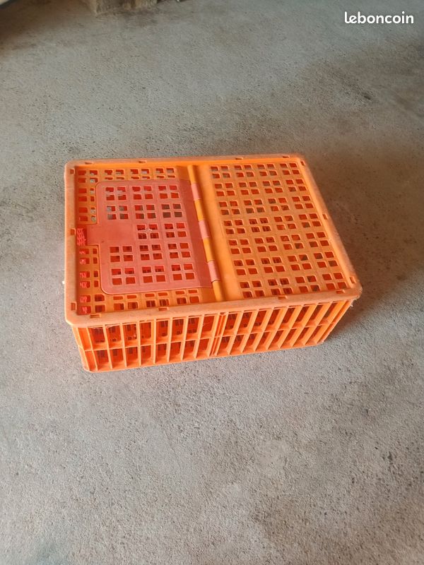 Cage de transport (image 1)