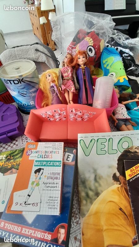 Gros lot de jouets, puzzles, livres, Lego, Barbie, micro karaoké, palmes, bottes de neige, jeux Meccano, valise éléphant : tout doit partir (image 12)
