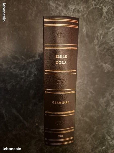 Les Rougon-Macquart : Germinal - Emile Zola (image 2)