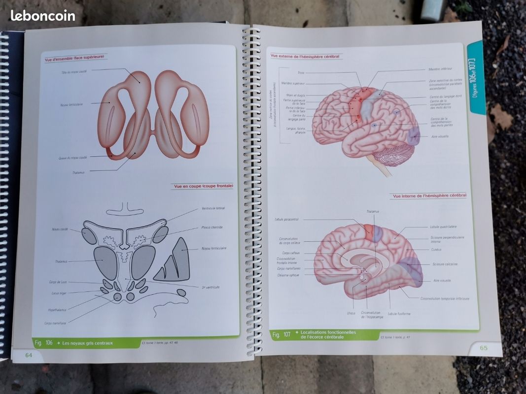 Livres IFSI (image 2)