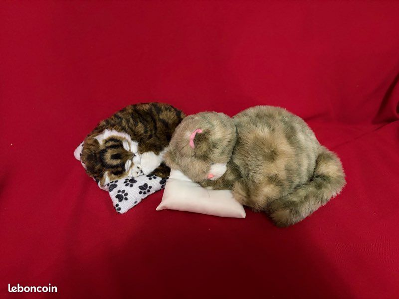 Chats (image 2)